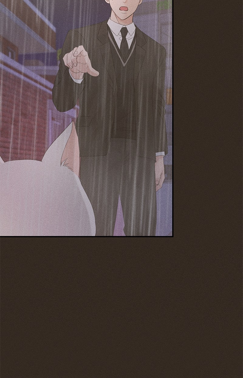 Read Perfect Marriage Revenge Manga Online