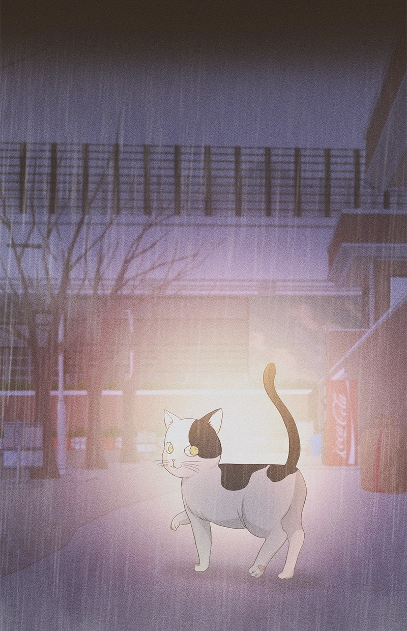 Read Perfect Marriage Revenge Manga Online