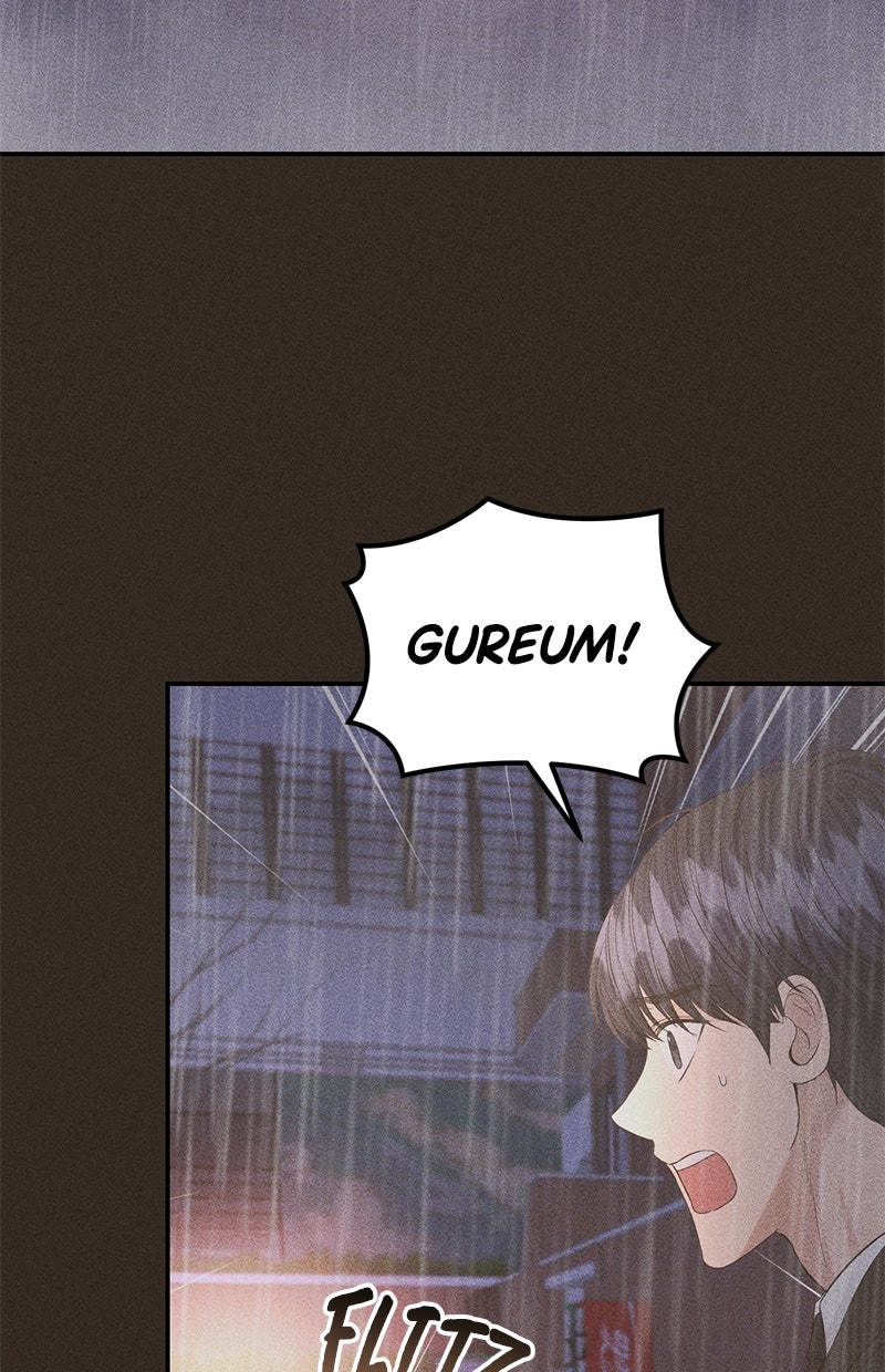 Read Perfect Marriage Revenge Manga Online