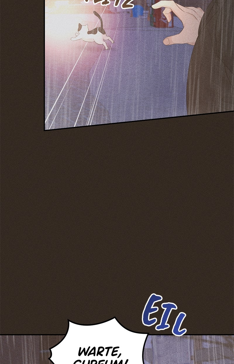 Read Perfect Marriage Revenge Manga Online