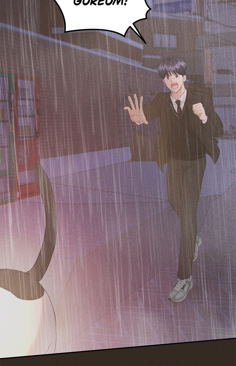 Read Perfect Marriage Revenge Manga Online