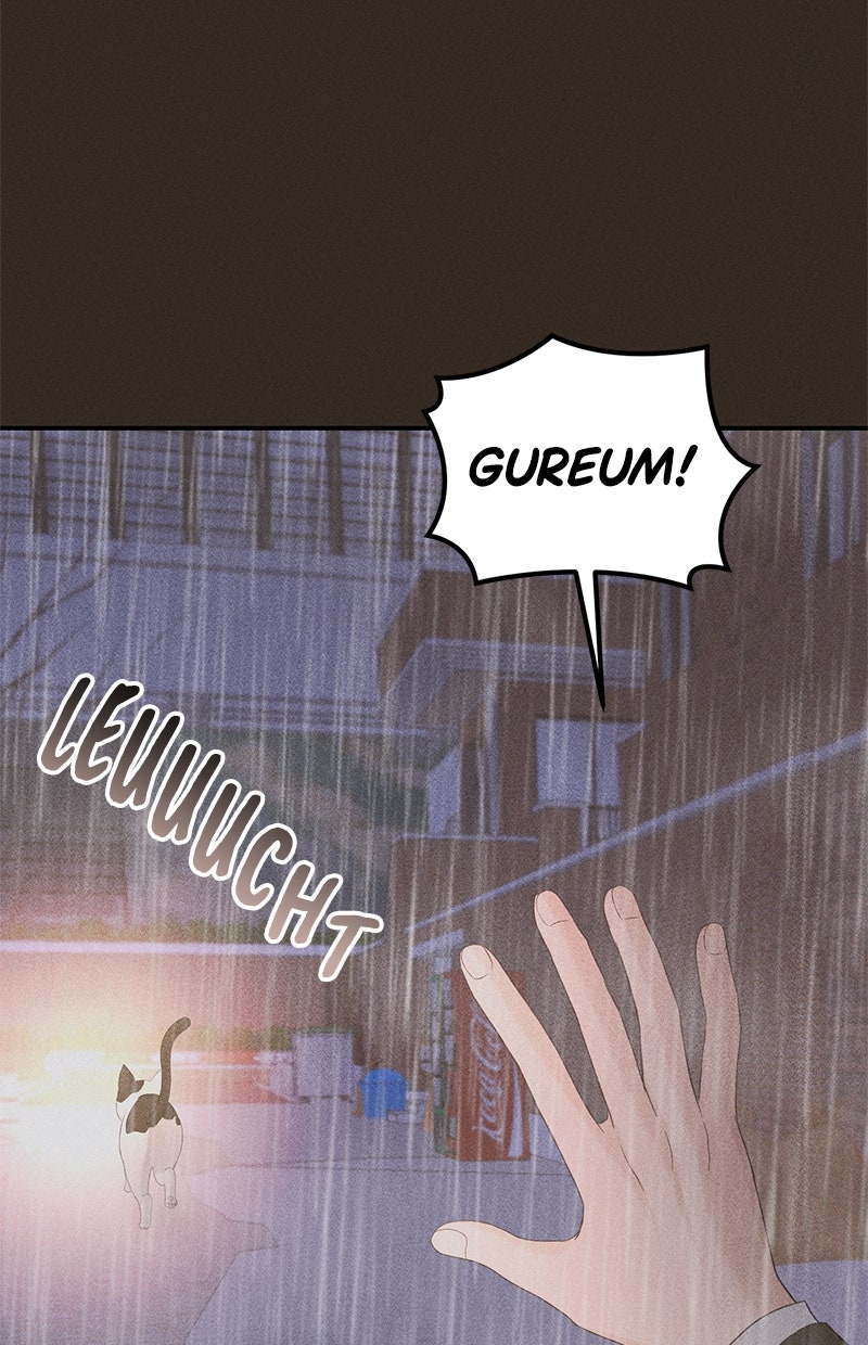 Read Perfect Marriage Revenge Manga Online