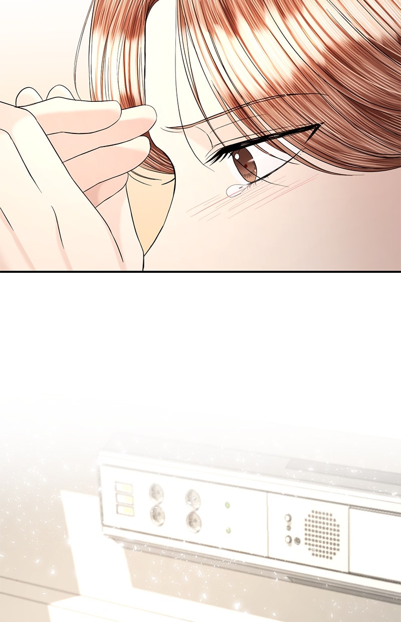 Read Perfect Marriage Revenge Manga Online