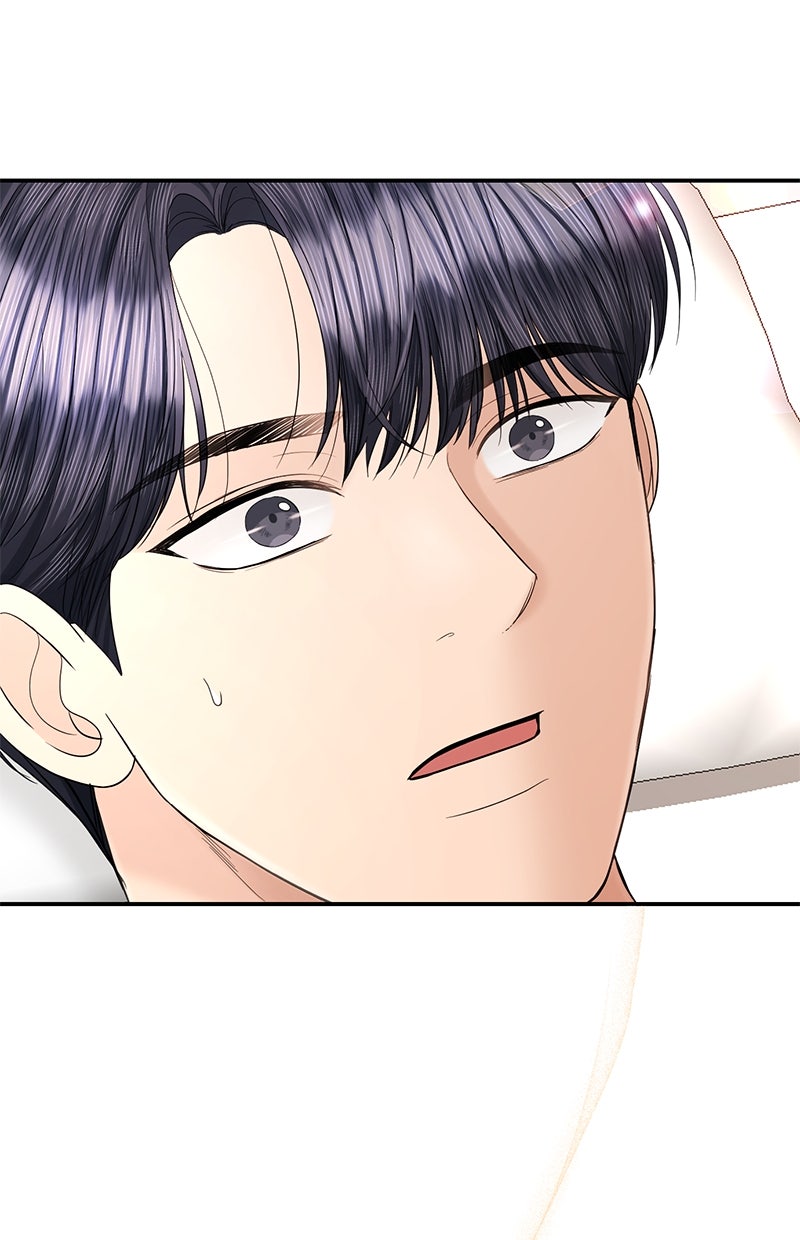 Read Perfect Marriage Revenge Manga Online