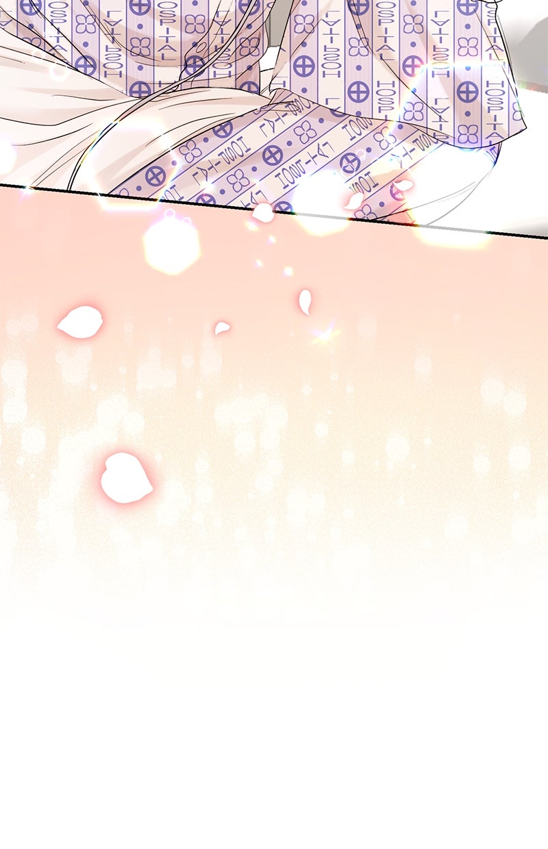 Read Perfect Marriage Revenge Manga Online