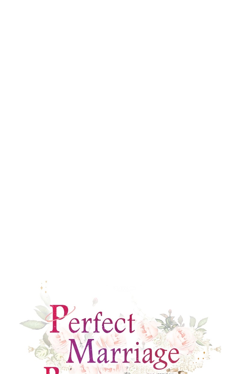 Read Perfect Marriage Revenge Manga Online