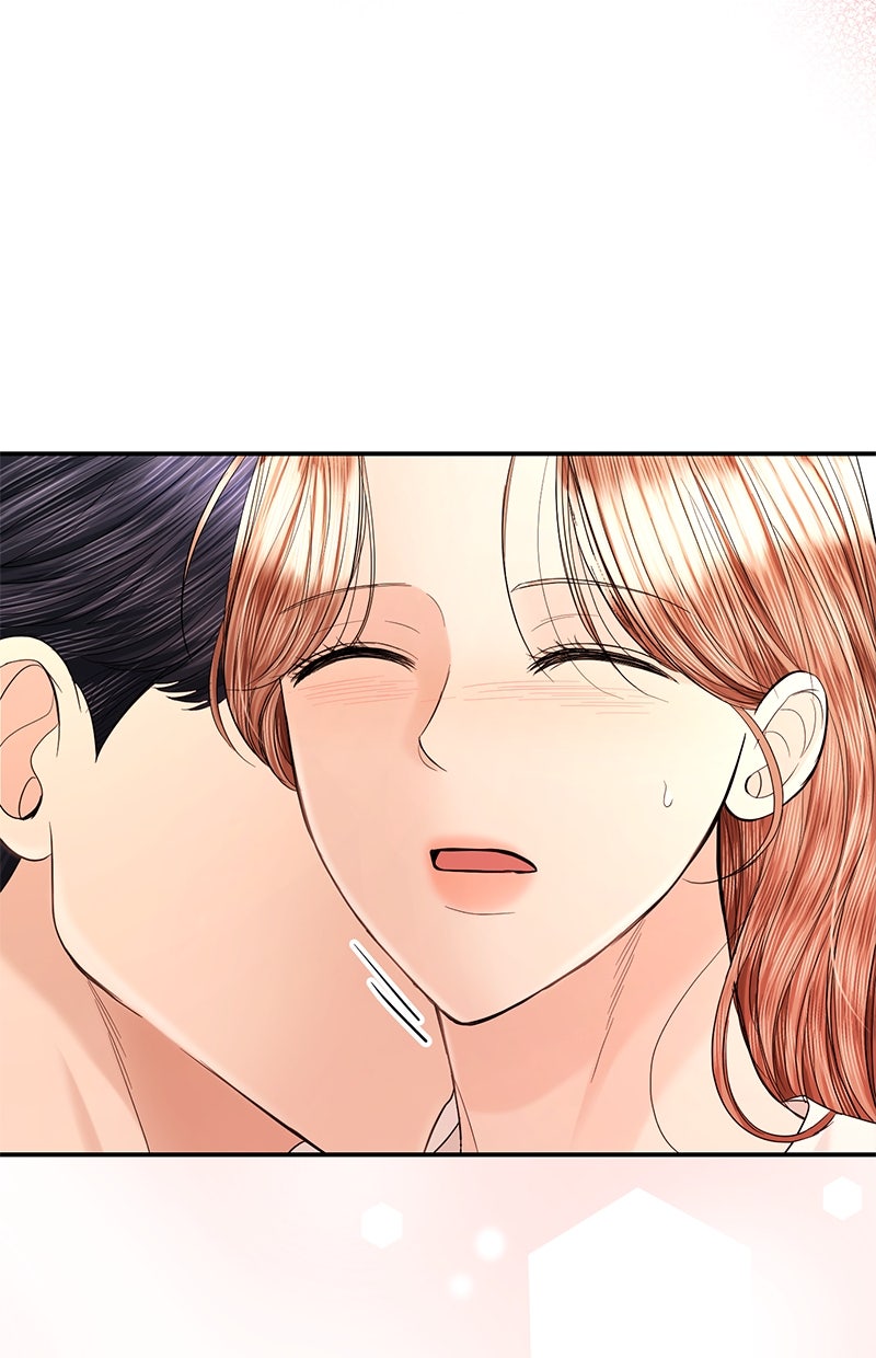 Read Perfect Marriage Revenge Manga Online