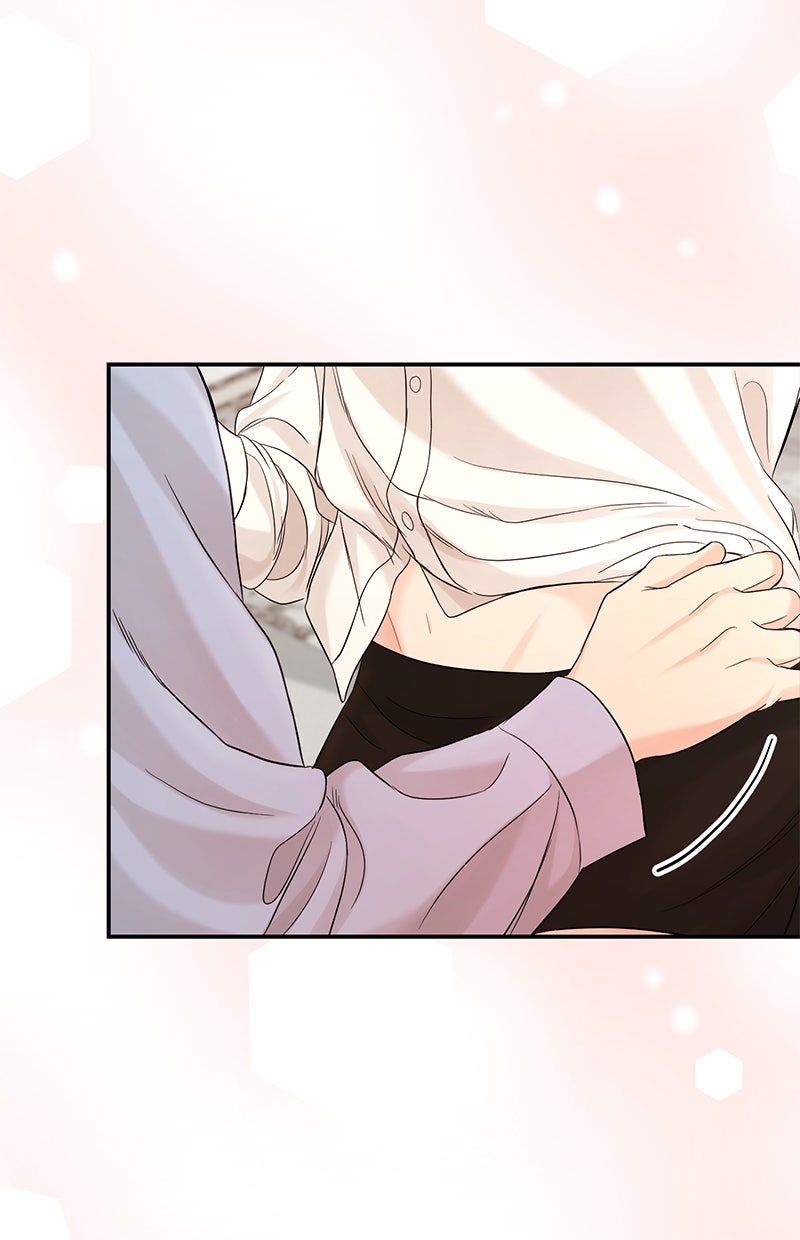 Read Perfect Marriage Revenge Manga Online