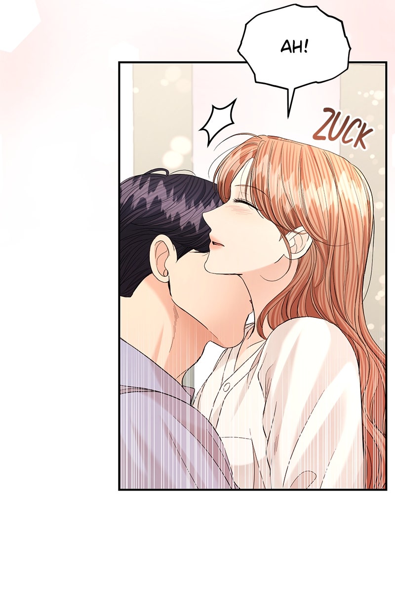 Read Perfect Marriage Revenge Manga Online