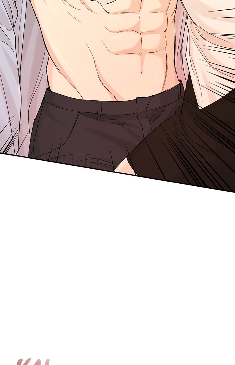 Read Perfect Marriage Revenge Manga Online