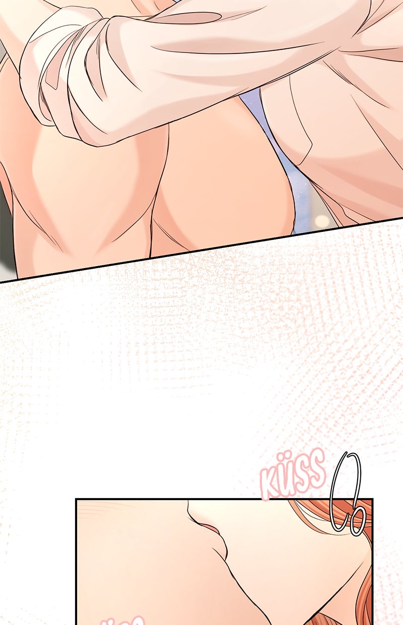 Read Perfect Marriage Revenge Manga Online