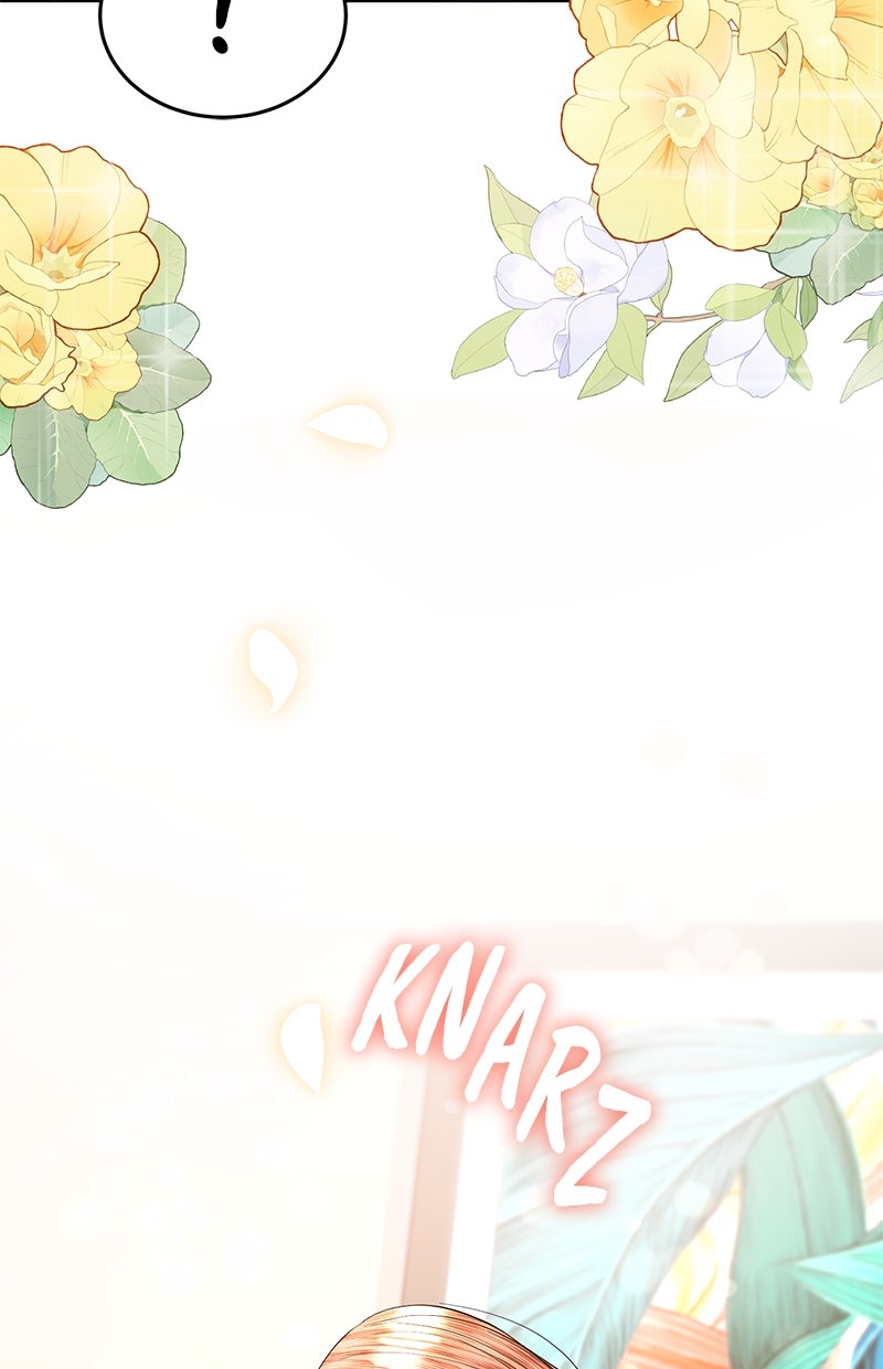 Read Perfect Marriage Revenge Manga Online