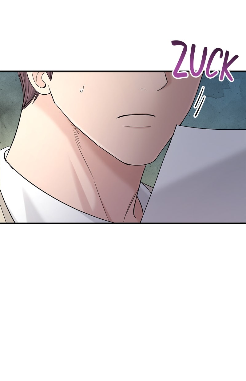 Read Perfect Marriage Revenge Manga Online