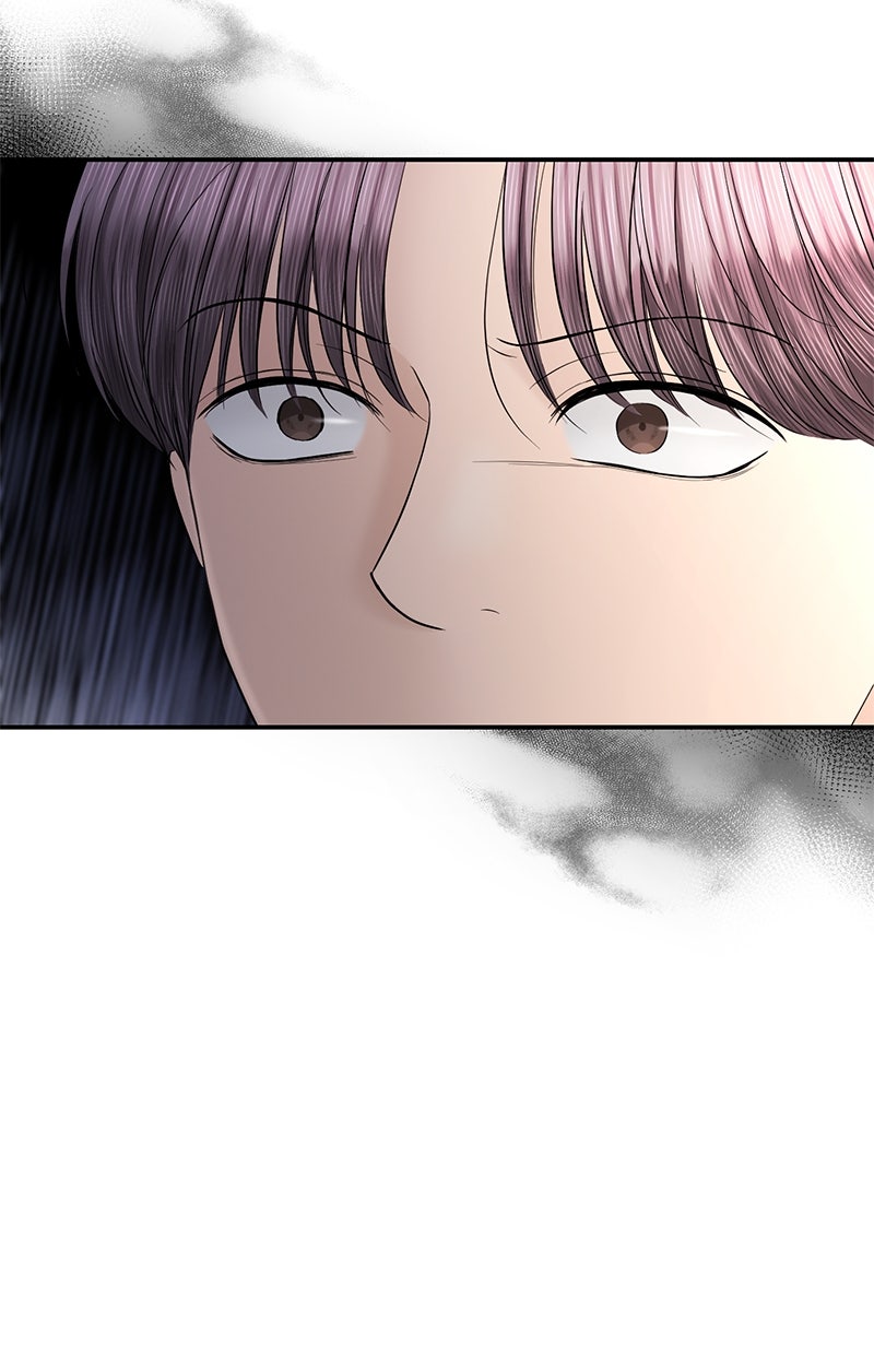 Read Perfect Marriage Revenge Manga Online