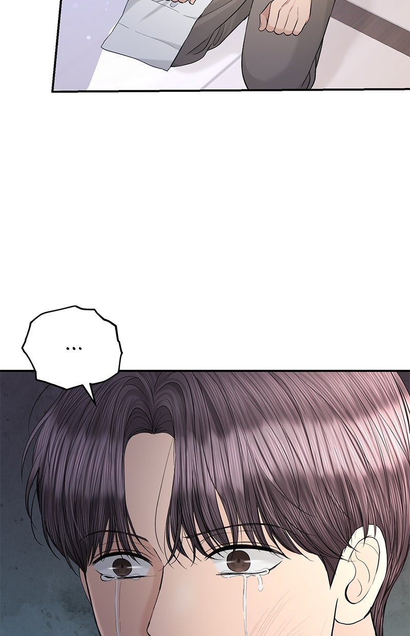 Read Perfect Marriage Revenge Manga Online