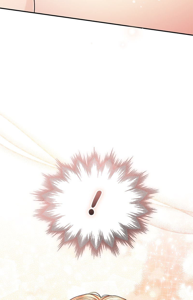 Read Perfect Marriage Revenge Manga Online