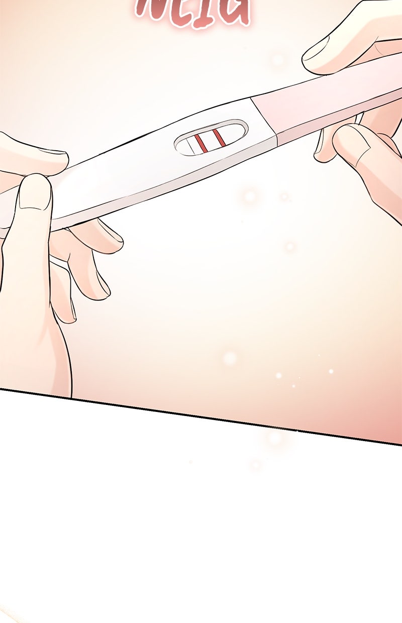 Read Perfect Marriage Revenge Manga Online