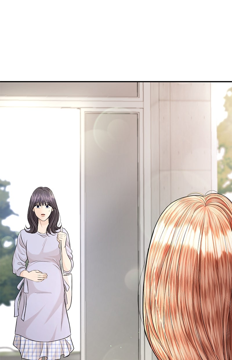 Read Perfect Marriage Revenge Manga Online