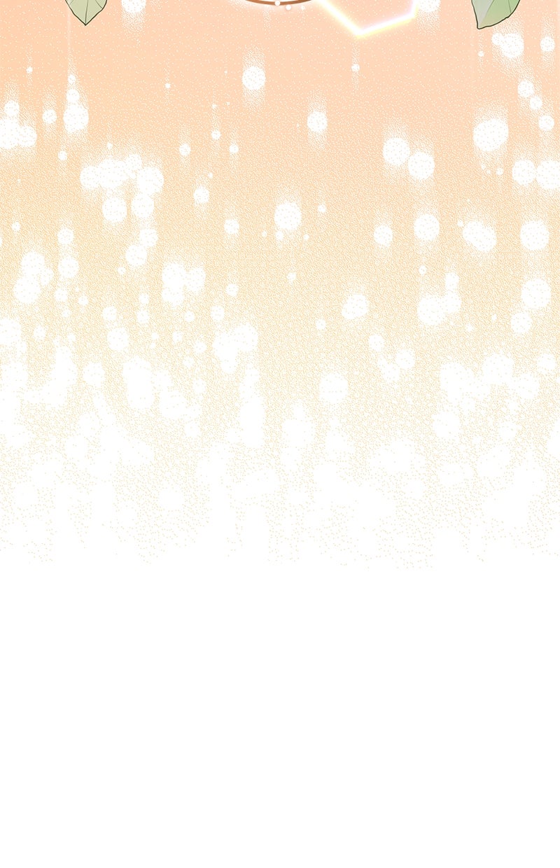 Read Perfect Marriage Revenge Manga Online