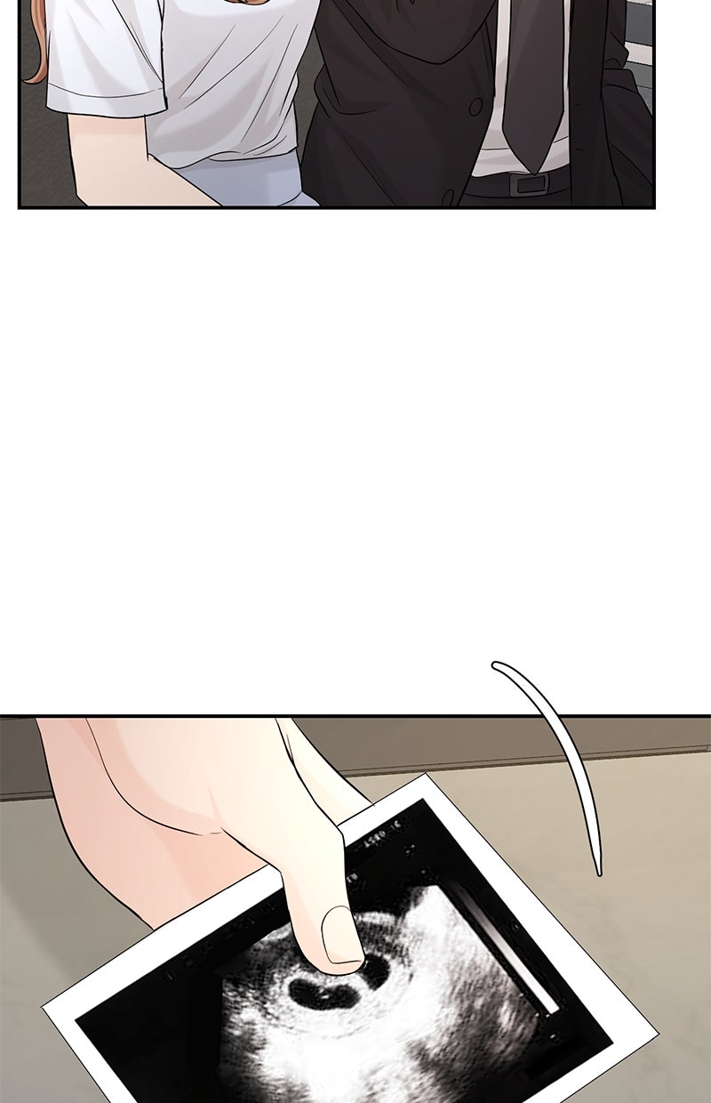 Read Perfect Marriage Revenge Manga Online