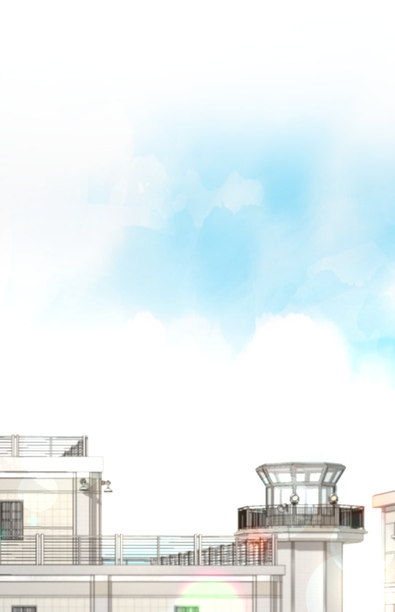 Read Perfect Marriage Revenge Manga Online