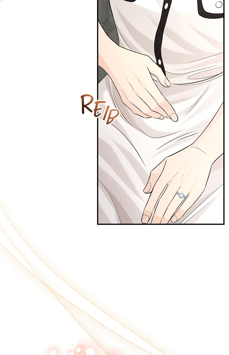 Read Perfect Marriage Revenge Manga Online