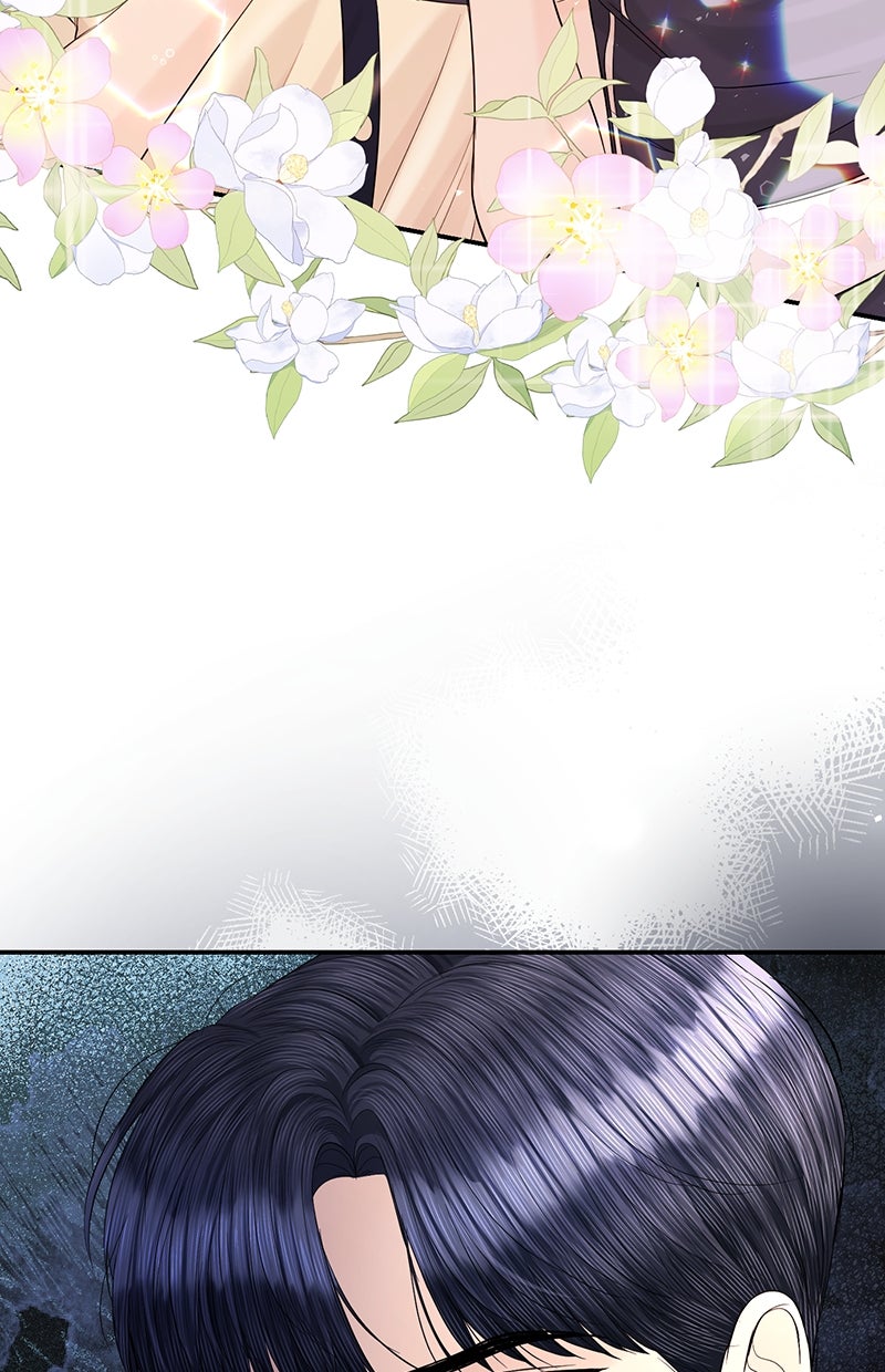 Read Perfect Marriage Revenge Manga Online