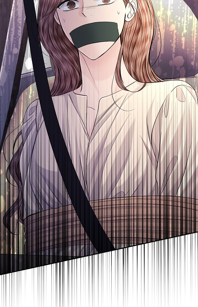 Read Perfect Marriage Revenge Manga Online