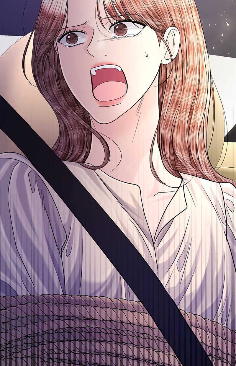 Read Perfect Marriage Revenge Manga Online