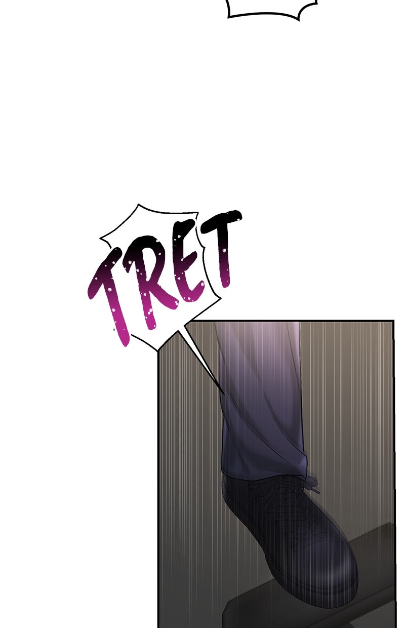 Read Perfect Marriage Revenge Manga Online