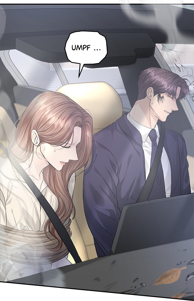 Read Perfect Marriage Revenge Manga Online