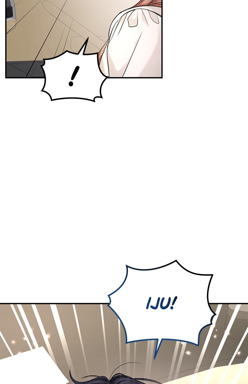 Read Perfect Marriage Revenge Manga Online