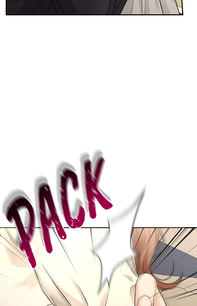 Read Perfect Marriage Revenge Manga Online