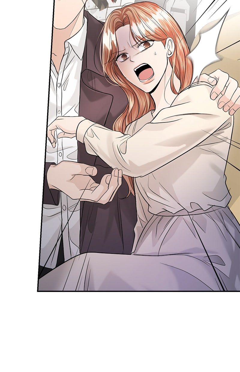 Read Perfect Marriage Revenge Manga Online