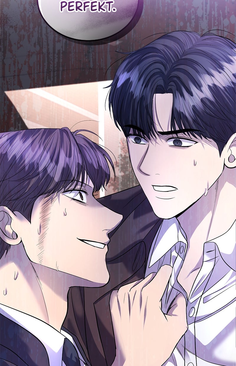 Read Perfect Marriage Revenge Manga Online