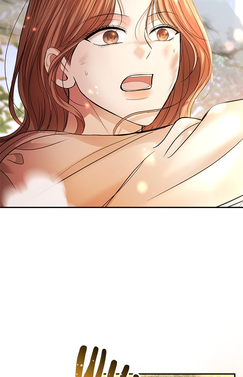 Read Perfect Marriage Revenge Manga Online