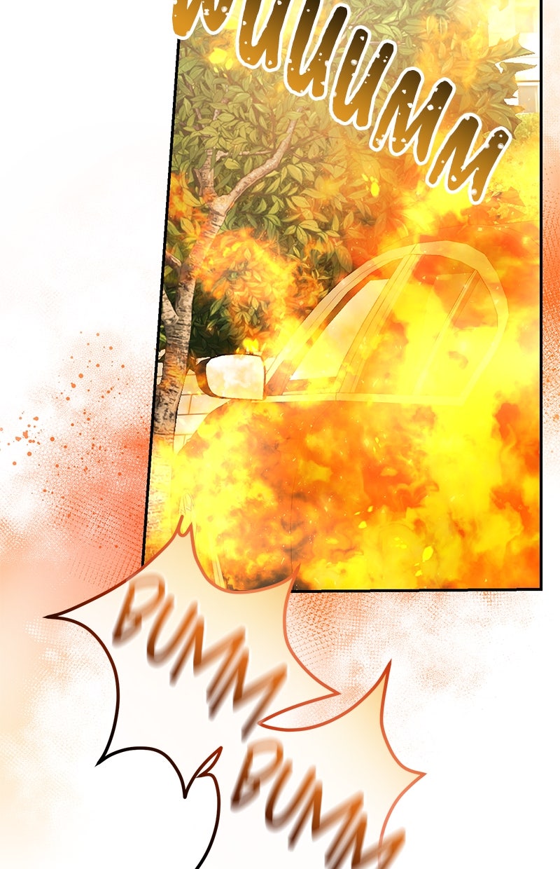 Read Perfect Marriage Revenge Manga Online