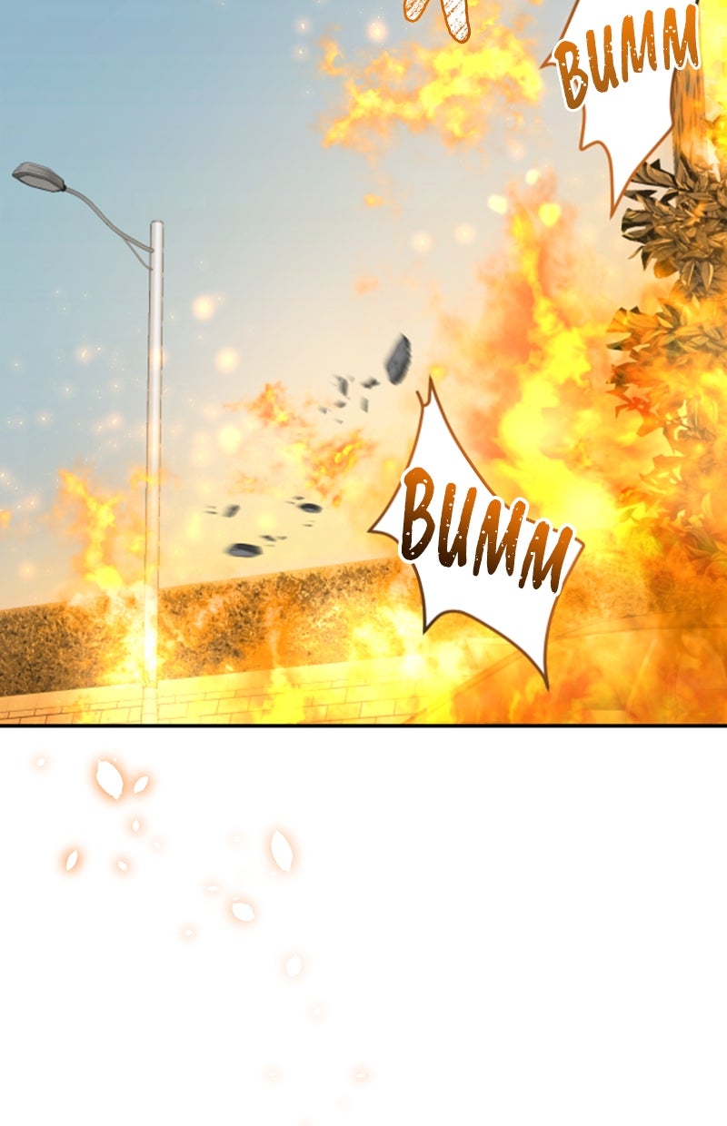 Read Perfect Marriage Revenge Manga Online