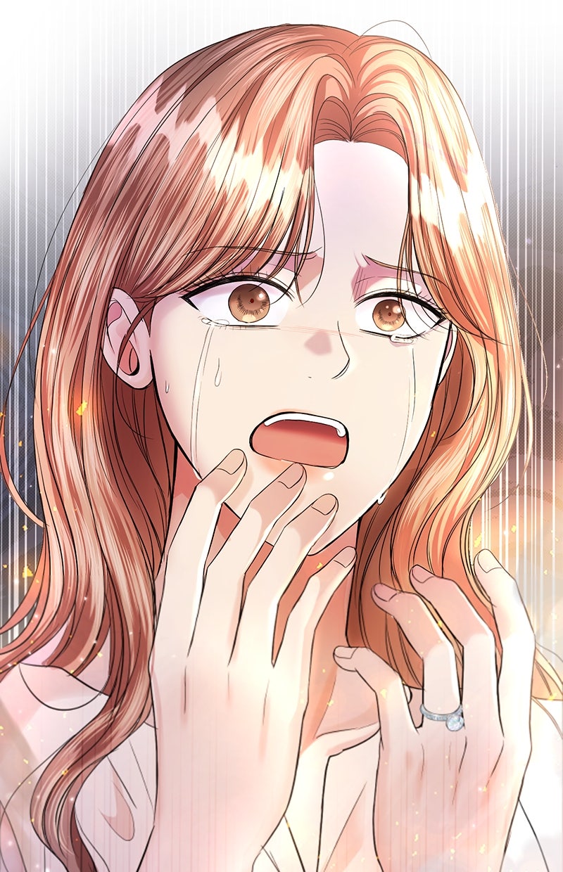 Read Perfect Marriage Revenge Manga Online