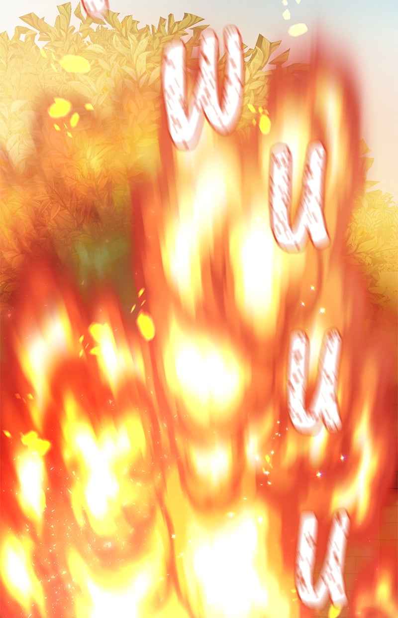 Read Perfect Marriage Revenge Manga Online