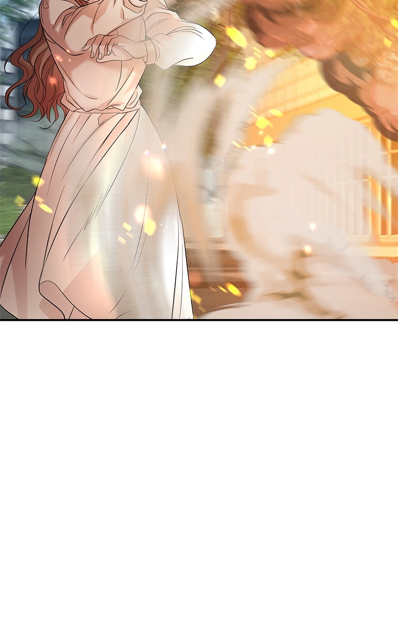 Read Perfect Marriage Revenge Manga Online