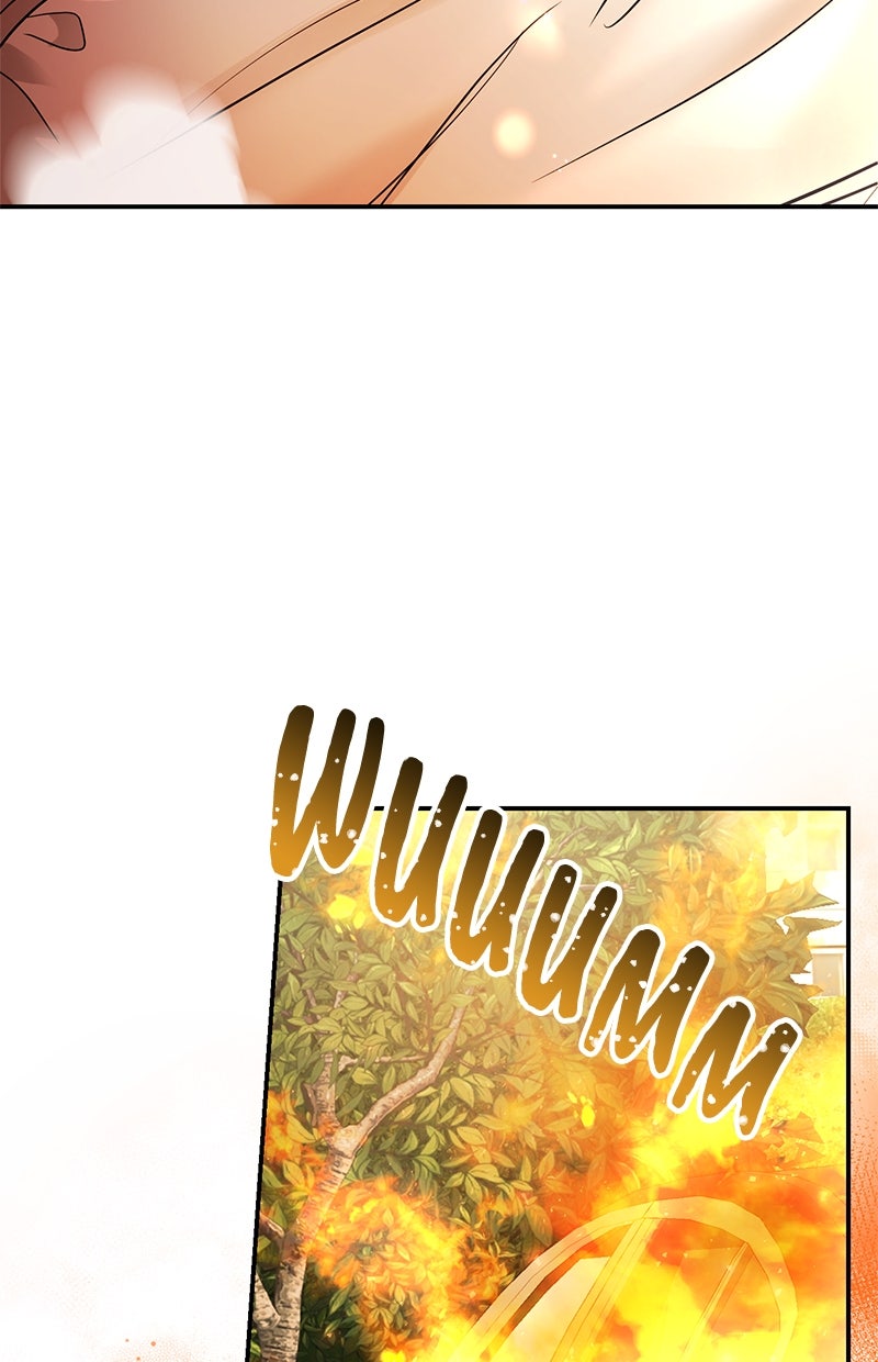 Read Perfect Marriage Revenge Manga Online