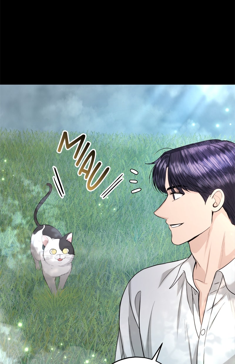 Read Perfect Marriage Revenge Manga Online