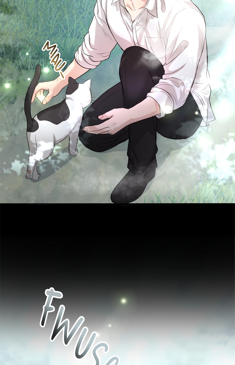 Read Perfect Marriage Revenge Manga Online