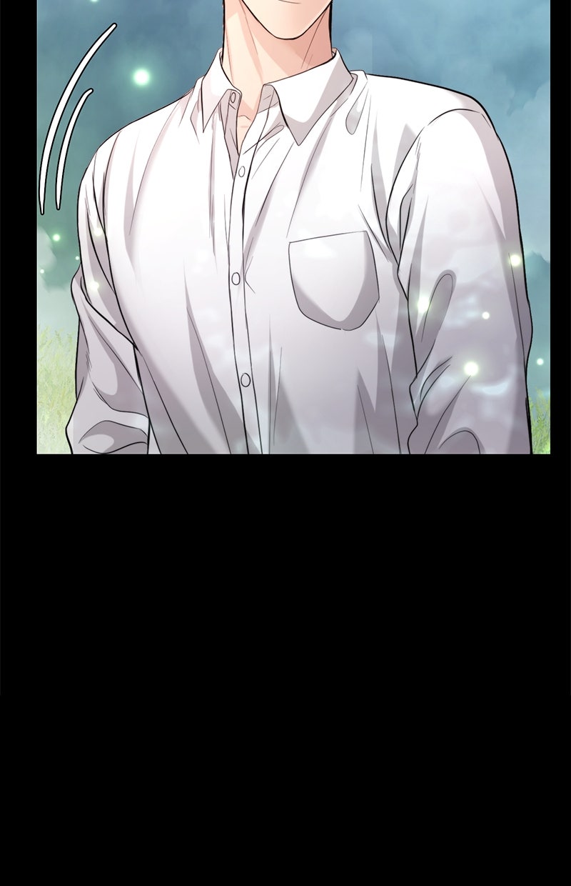 Read Perfect Marriage Revenge Manga Online