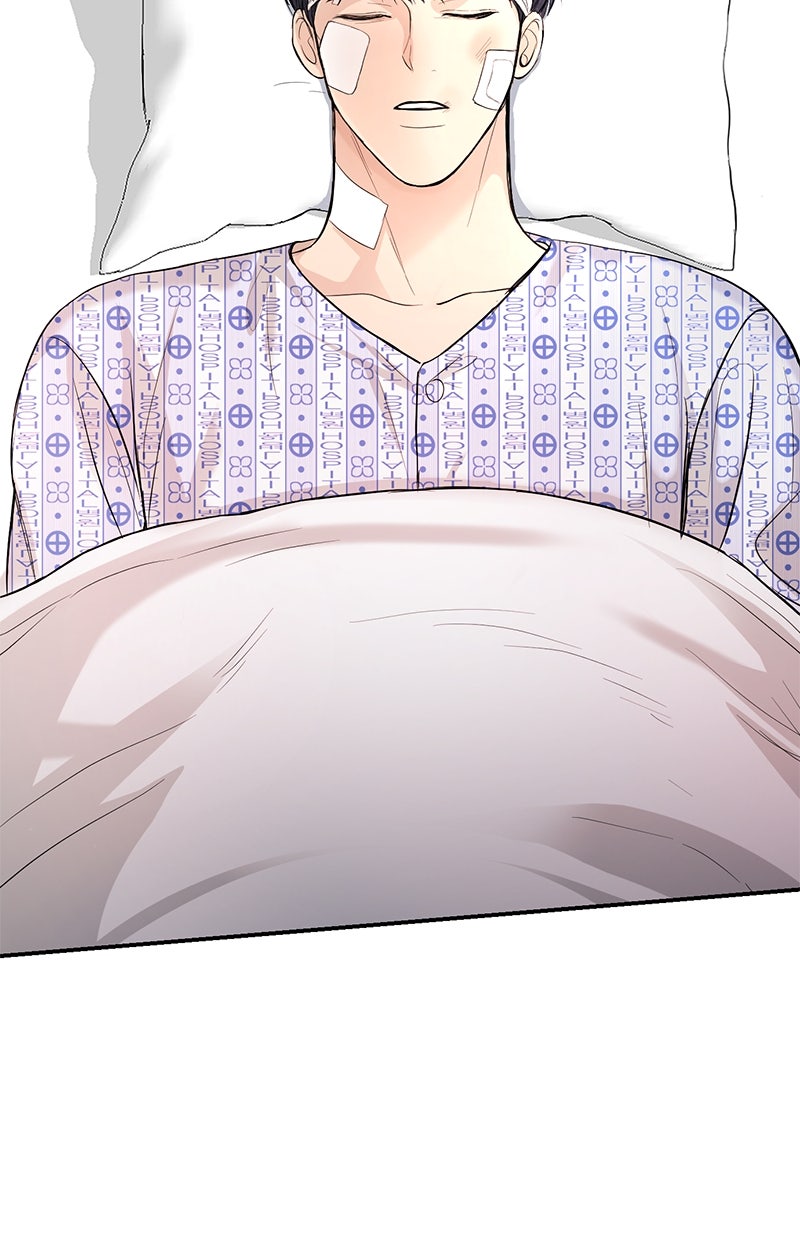 Read Perfect Marriage Revenge Manga Online