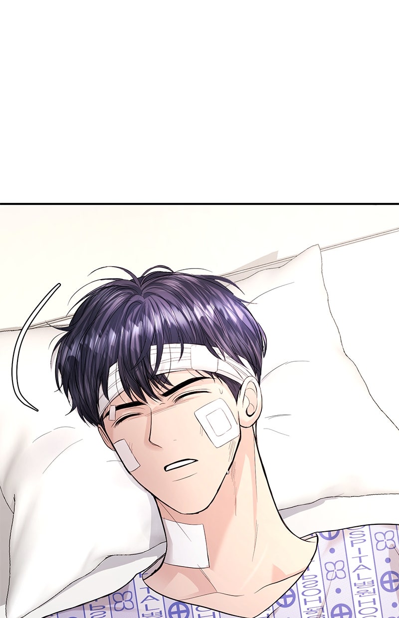 Read Perfect Marriage Revenge Manga Online