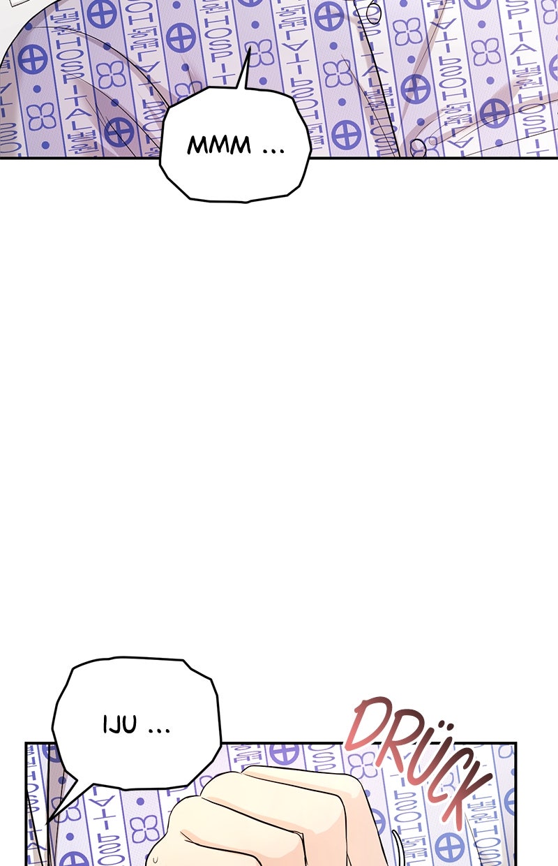 Read Perfect Marriage Revenge Manga Online