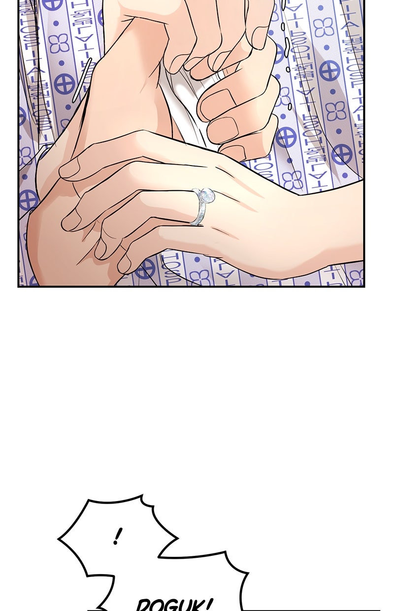 Read Perfect Marriage Revenge Manga Online