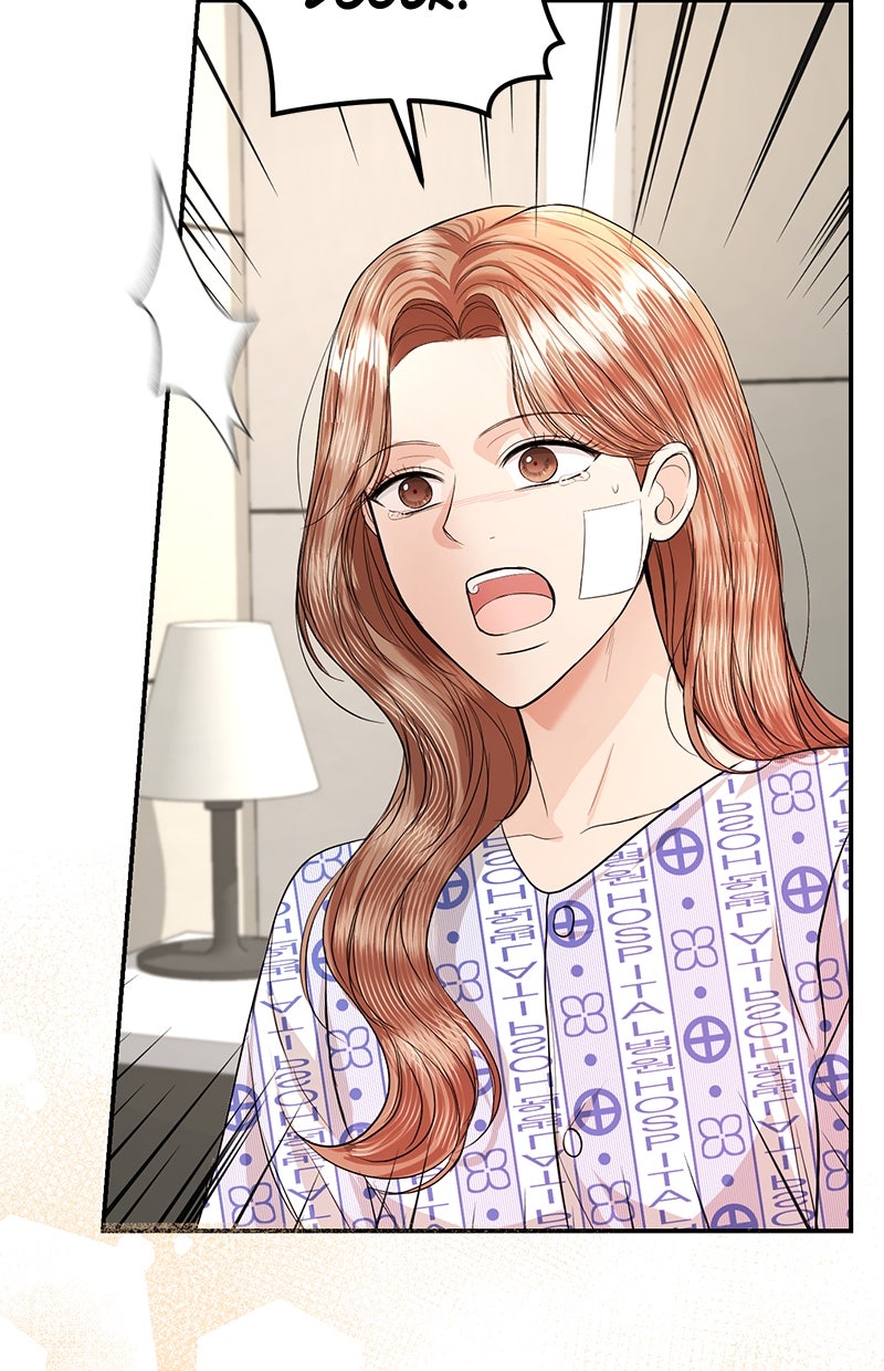 Read Perfect Marriage Revenge Manga Online